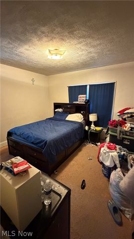 3393 W 131st Street, Cleveland, OH 44111