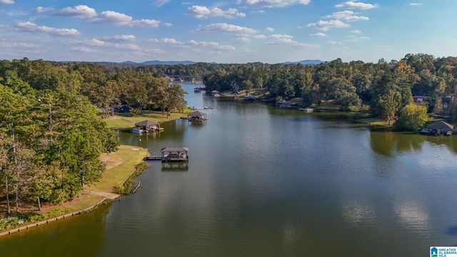438 TRAWEEK LANE, Pell City, AL 35128