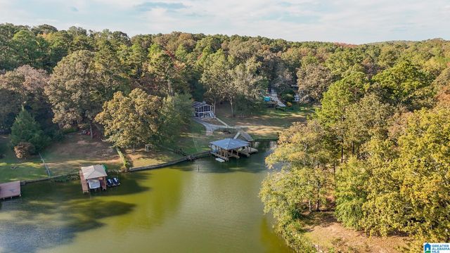 438 TRAWEEK LANE, Pell City, AL 35128