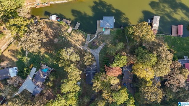 438 TRAWEEK LANE, Pell City, AL 35128