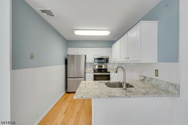 66 Village Green Rd Ondo, Bedminster Twp., NJ 07921