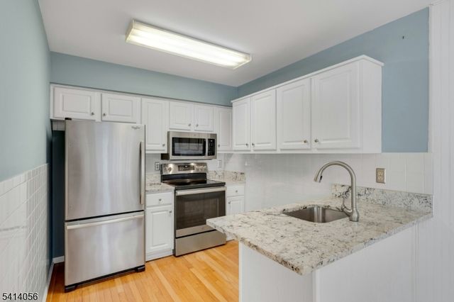 66 Village Green Rd Ondo, Bedminster Twp., NJ 07921