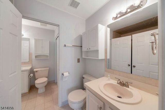 66 Village Green Rd Ondo, Bedminster Twp., NJ 07921