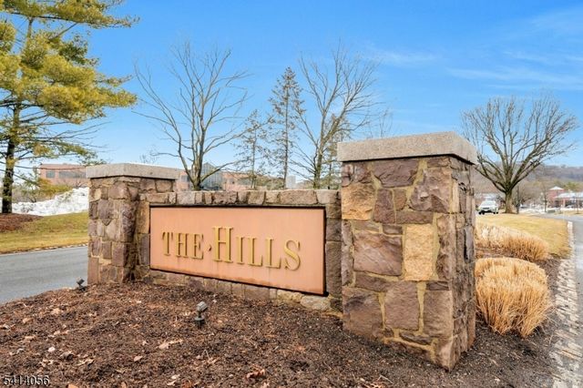 66 Village Green Rd Ondo, Bedminster Twp., NJ 07921