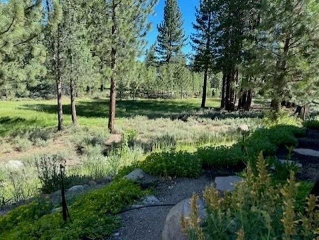 10100 Pioneer Trl Unit 101, Truckee, CA 96161