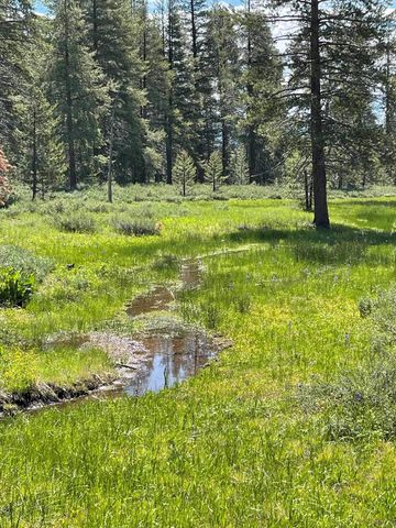 10100 Pioneer Trl Unit 101, Truckee, CA 96161