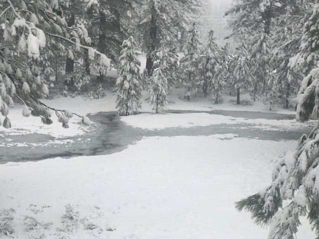 10100 Pioneer Trl Unit 101, Truckee, CA 96161