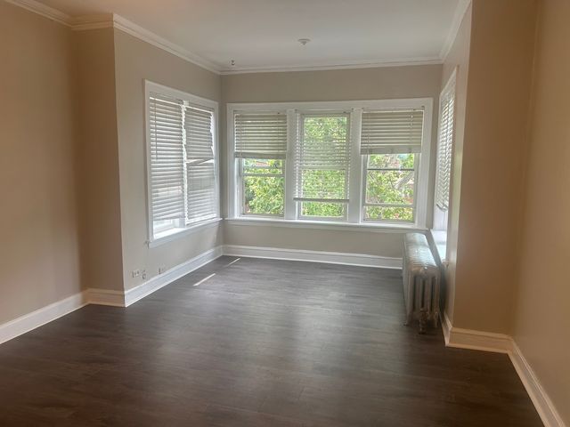 8227 S Evans Avenue, Chicago, IL 60619