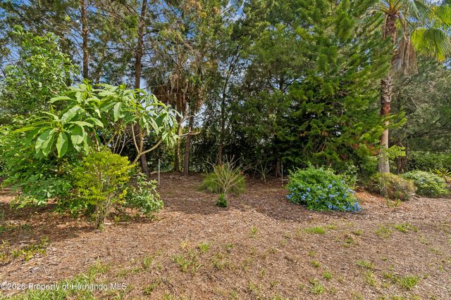 10919 Trelain Way, Hudson, FL 34667