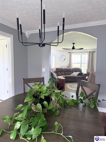1922 Tonieville Road, Hodgenville, KY 42748