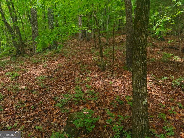 0 Laurel Lane, Clayton, GA 30525
