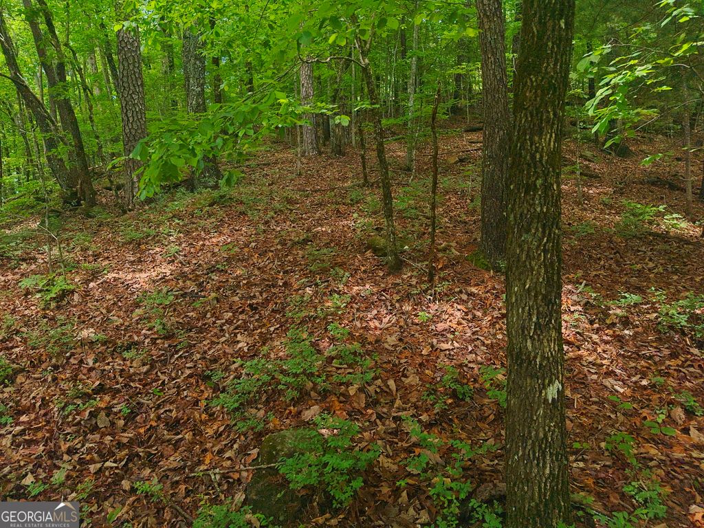 0 Laurel Lane, Clayton, GA 30525 — photo 4