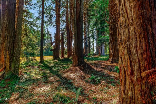 2401 S Highway 1, Elk, CA 95432