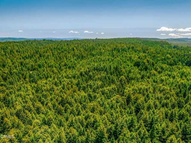 2401 S Highway 1, Elk, CA 95432