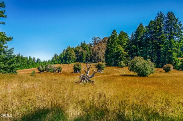 2401 S Highway 1, Elk, CA 95432