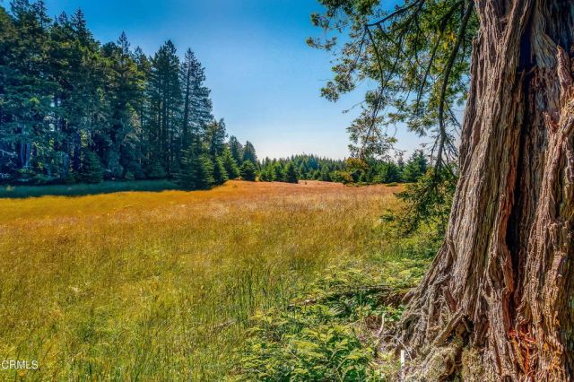 2401 S Highway 1, Elk, CA 95432