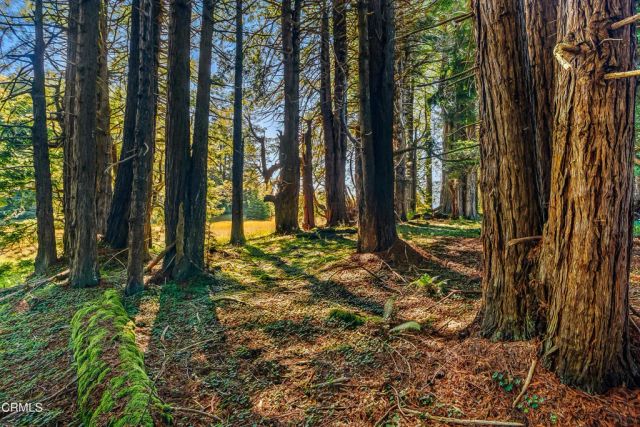 2401 S Highway 1, Elk, CA 95432