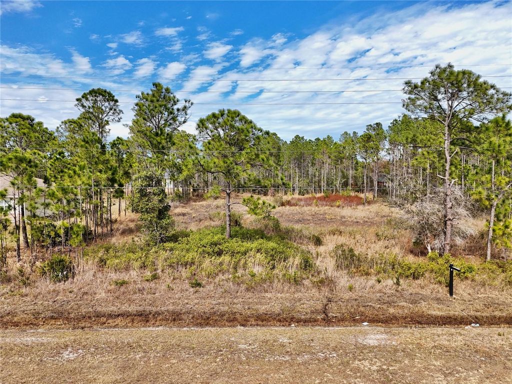 Image 2 of property listing at 19115 MEREDITH PARKWAY, Orlando, FL 32833