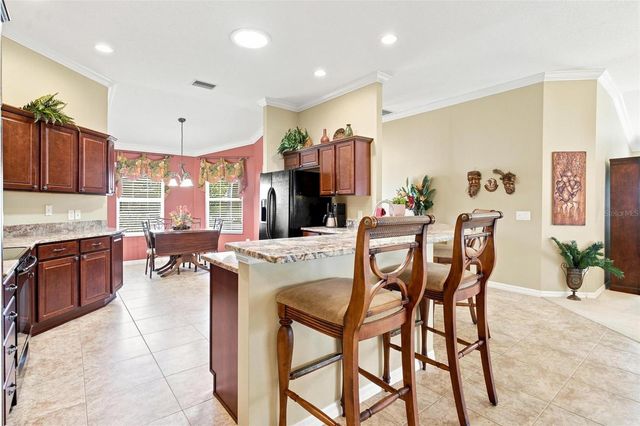 796 ABERDEEN RUN, The Villages, FL 32162