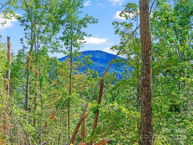 99999 Youngs Gap Road South Lot, Fletcher, NC 28732