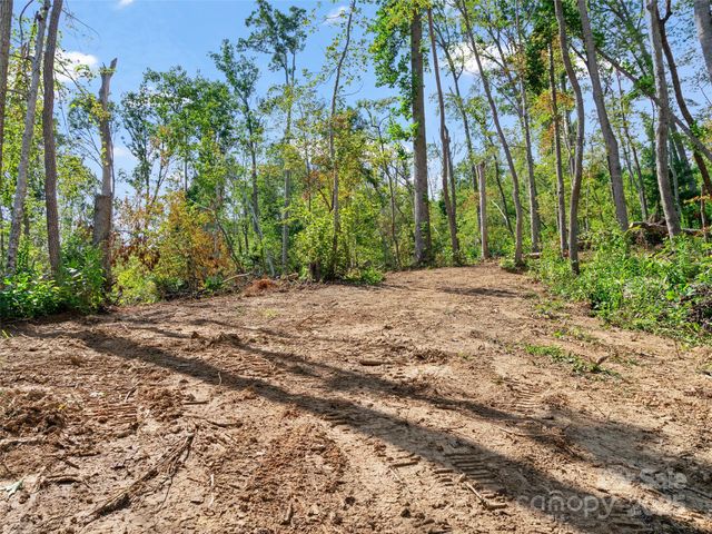 99999 Youngs Gap Road South Lot, Fletcher, NC 28732