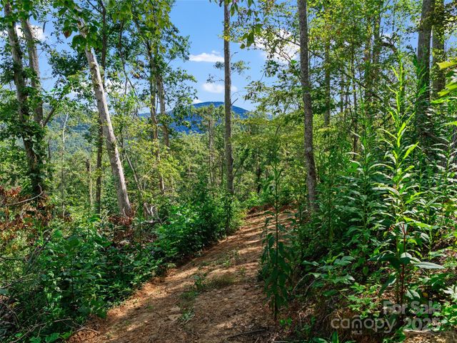 99999 Youngs Gap Road South Lot, Fletcher, NC 28732