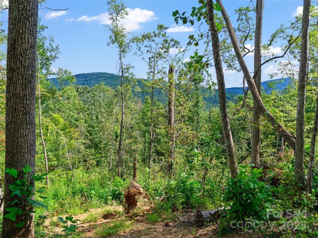 99999 Youngs Gap Road South Lot, Fletcher, NC 28732