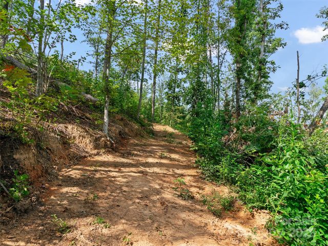 99999 Youngs Gap Road South Lot, Fletcher, NC 28732