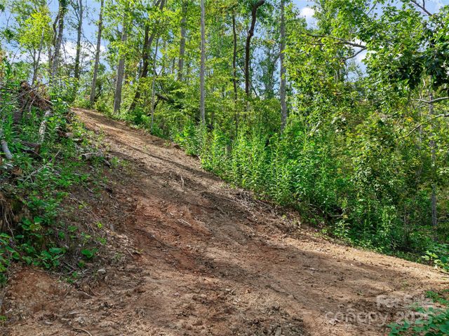 99999 Youngs Gap Road South Lot, Fletcher, NC 28732