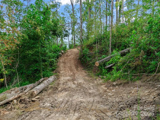 99999 Youngs Gap Road South Lot, Fletcher, NC 28732