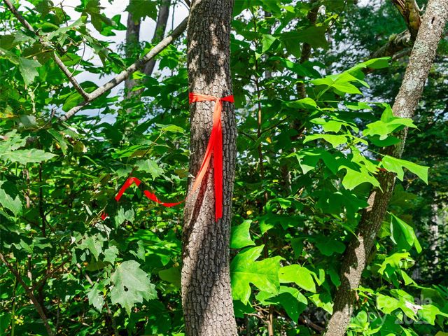 99999 Youngs Gap Road South Lot, Fletcher, NC 28732