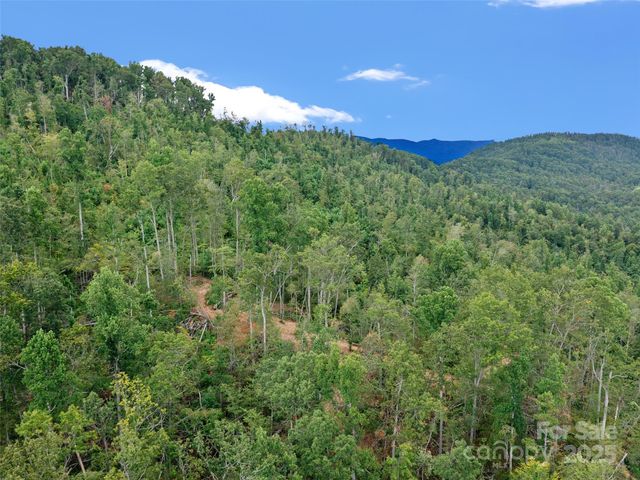 99999 Youngs Gap Road South Lot, Fletcher, NC 28732