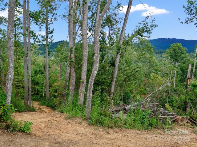 99999 Youngs Gap Road South Lot, Fletcher, NC 28732