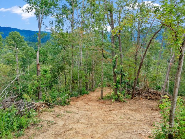 99999 Youngs Gap Road South Lot, Fletcher, NC 28732