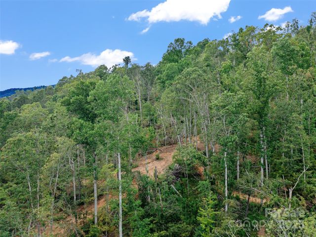99999 Youngs Gap Road South Lot, Fletcher, NC 28732