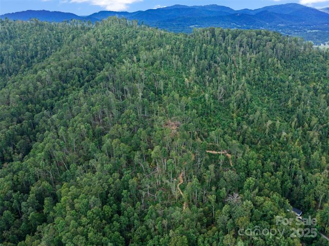 99999 Youngs Gap Road South Lot, Fletcher, NC 28732