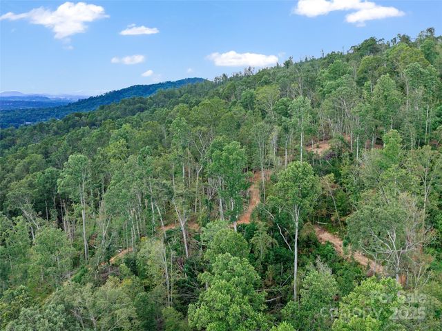 99999 Youngs Gap Road South Lot, Fletcher, NC 28732