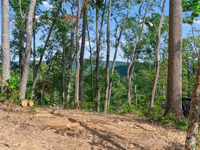 99999 Youngs Gap Road South Lot, Fletcher, NC 28732