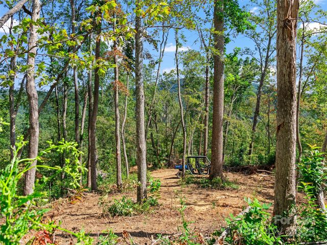 99999 Youngs Gap Road South Lot, Fletcher, NC 28732