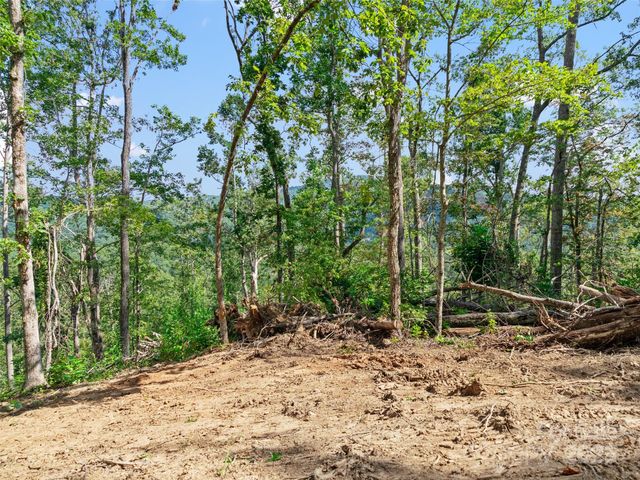 99999 Youngs Gap Road South Lot, Fletcher, NC 28732