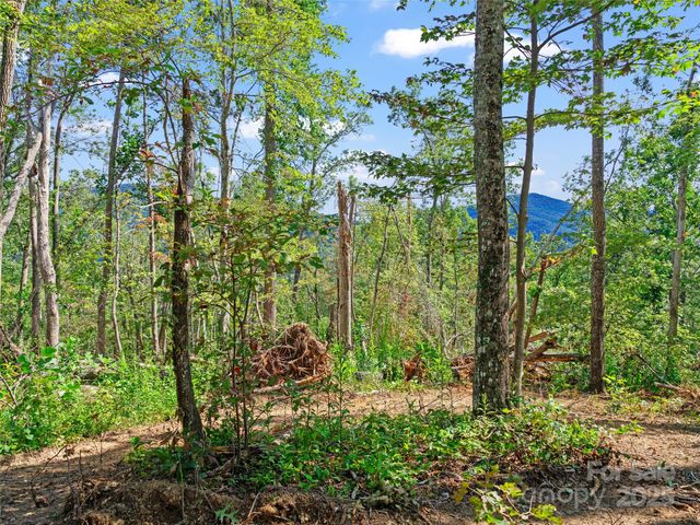 99999 Youngs Gap Road South Lot, Fletcher, NC 28732