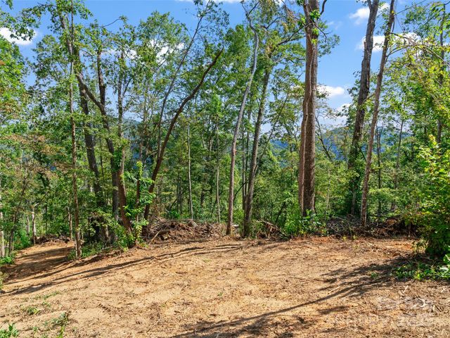 99999 Youngs Gap Road South Lot, Fletcher, NC 28732