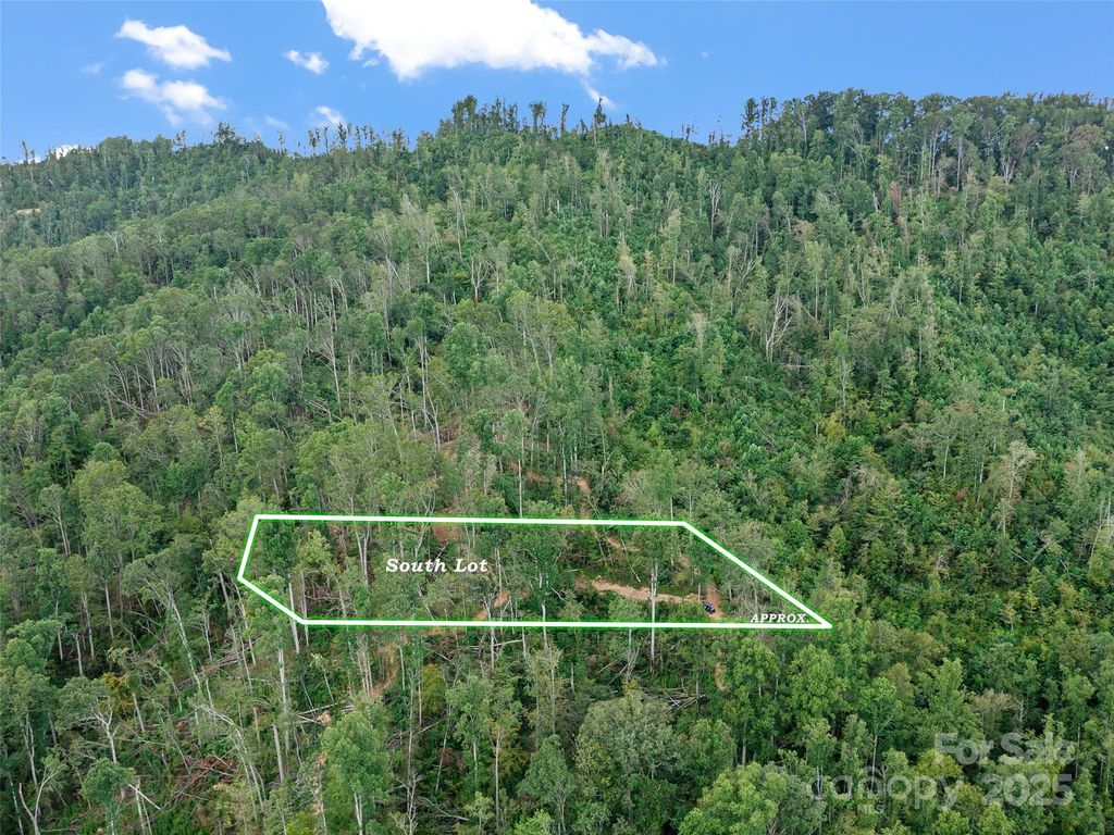 99999 Youngs Gap Road South Lot, Fletcher, NC 28732