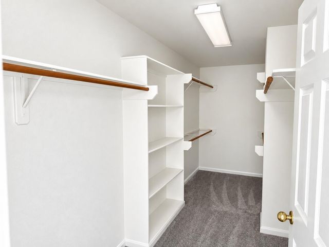 14930 Cabin Run Lane, Sugar Land, TX 77498