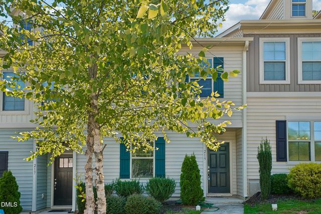 219 Socket Street, Raleigh, NC 27606
