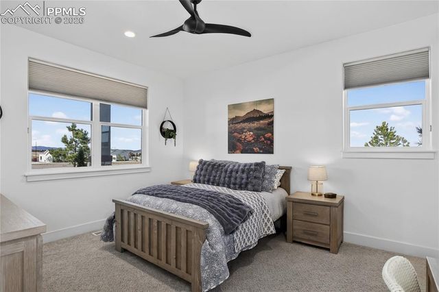 3313 Bark Tree Trail, Colorado Springs, CO 80921