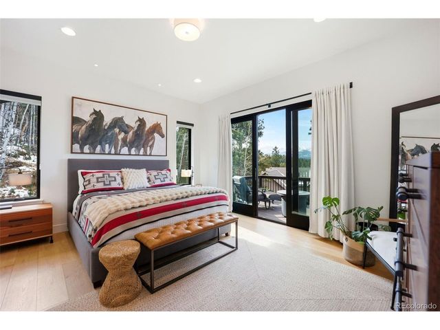 1005 Locklin Way, Woodland Park, CO 80863