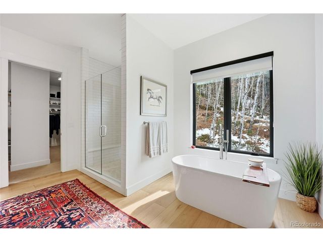 1005 Locklin Way, Woodland Park, CO 80863