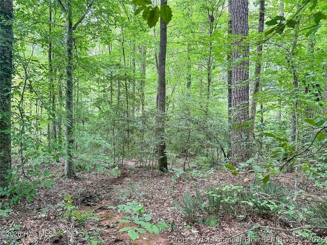 TBD South Pointe Point, Sanford, NC 27330