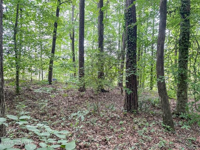 TBD South Pointe Point, Sanford, NC 27330